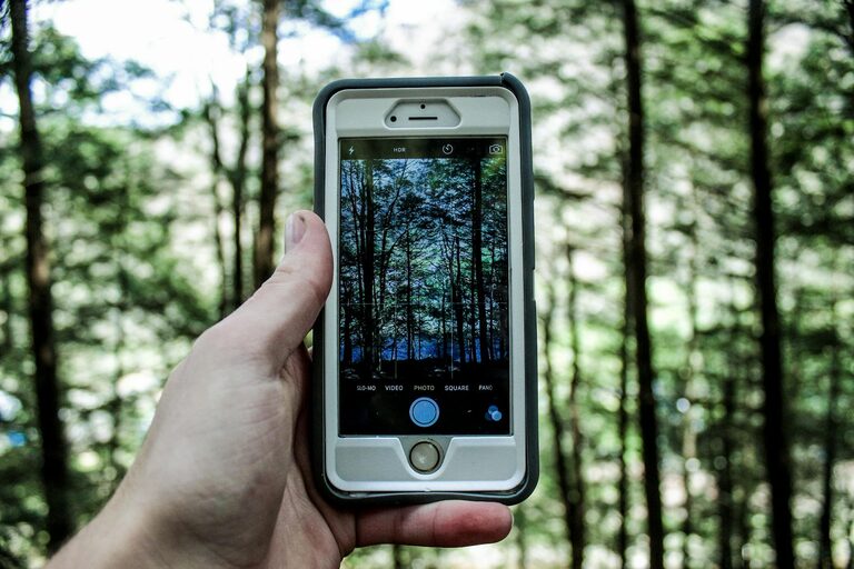 Beginner Tips for Taking Better Phone Photos
